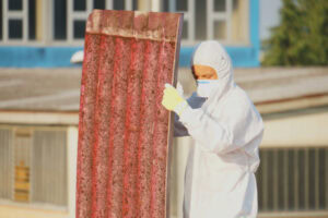 Asbestos Removal Services